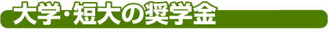 大学・短大の奨学金